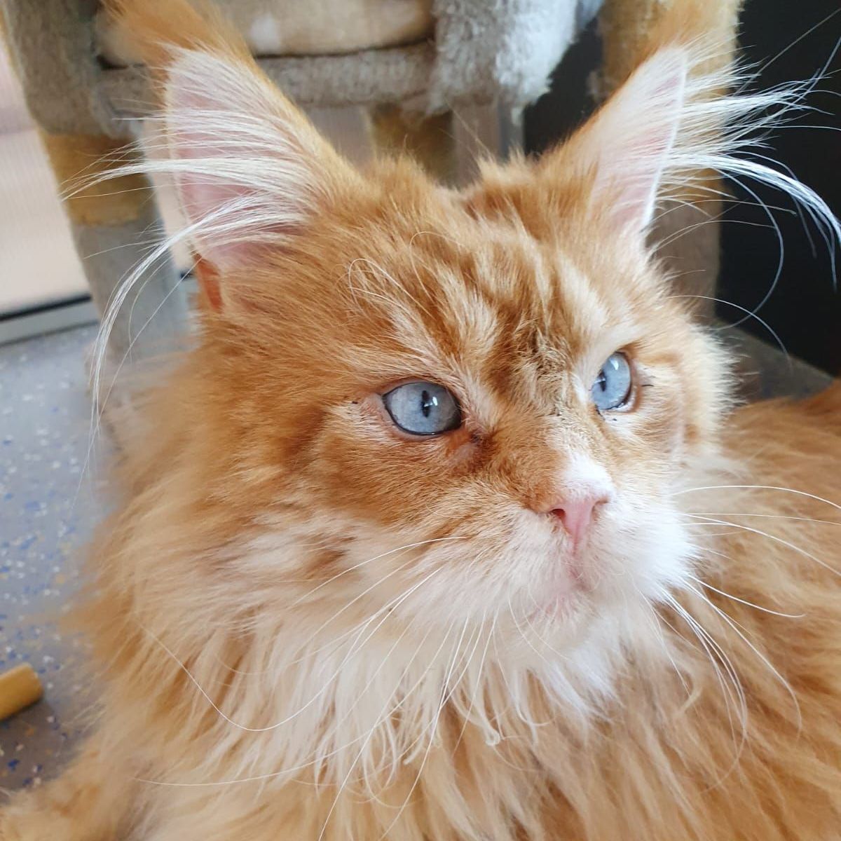 Benson