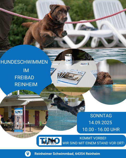 Hundeschwimmen 14.09.25 Reinheim 2