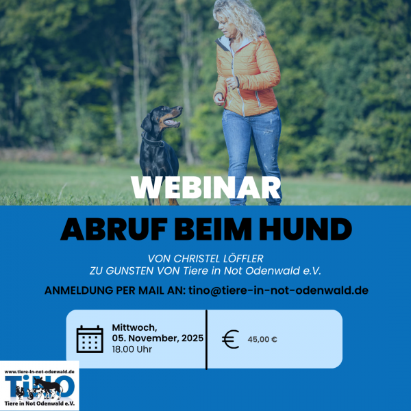 Webinar Christel 05.11.2025